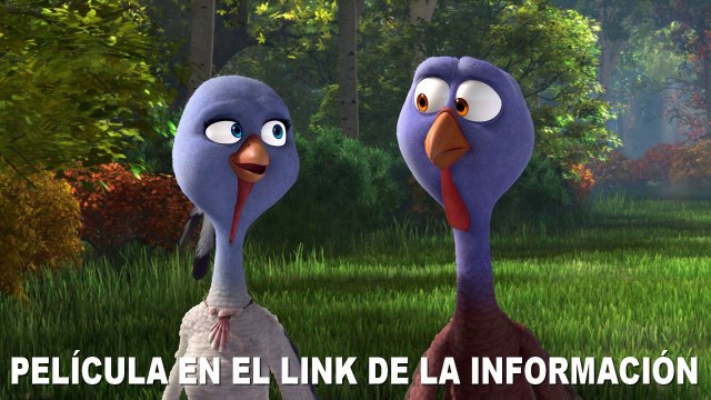 Dos pavos en apuros Película completa en Latino