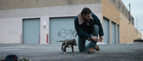 The Drop - Trailer / Bande-Annonce #1 [VO|HD1080p]