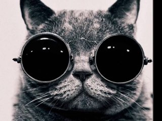 رقصة حب مع Andy Parkh