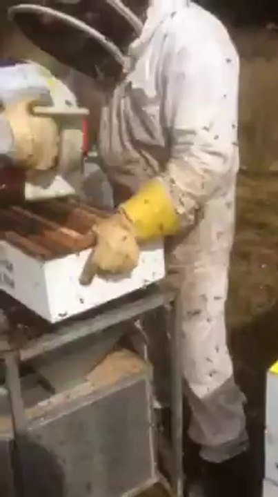 Huni İle Paket Arıcılık