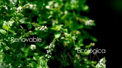 05 Energia Verde - Opción de Vida