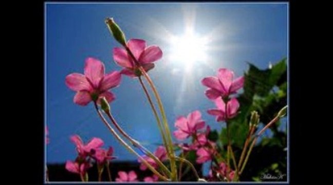 Çaresizim - Ahmet Özhan