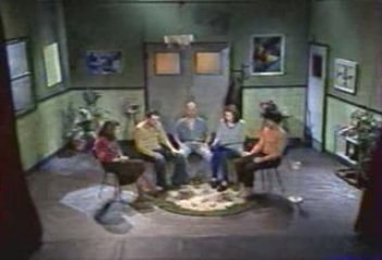 Robins des Bois - Thérapie américaine