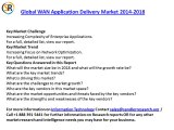 WAN Application Delivery Present Scenario and the Growth Prospects