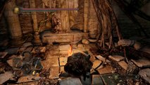 Dark Souls 2 Gameplay Walkthrough #7 | Forest of Fallen Giants Part 3 | NG  Lvl200 
