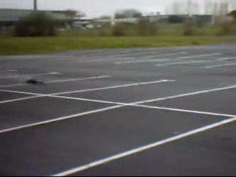 course 1/8 voiture thermique