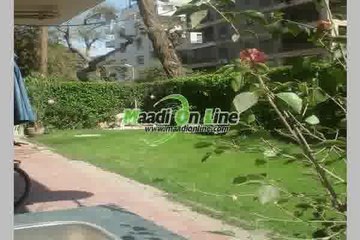 nice garden in a nice flat