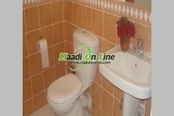 big flat in sariaat maadi for rent