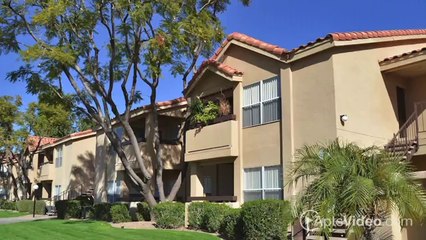 Pacific Bay Club Apartments in Phoenix, AZ - ForRent.com