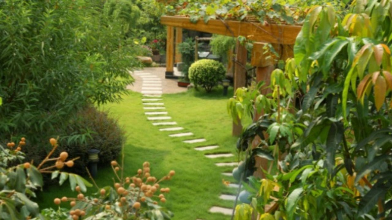 DMX Landscape - (720) 435-1313