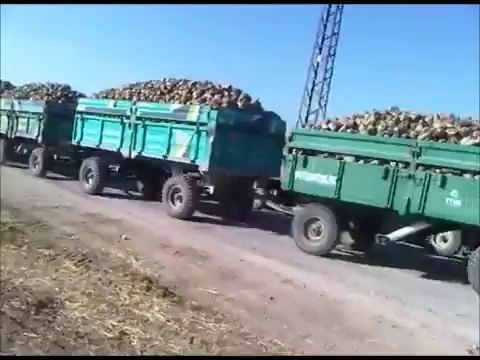 TRAKTÖR ŞOV MASSEY FERGUSON 3060