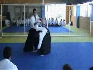 Kiseidojo "adapting the technique"