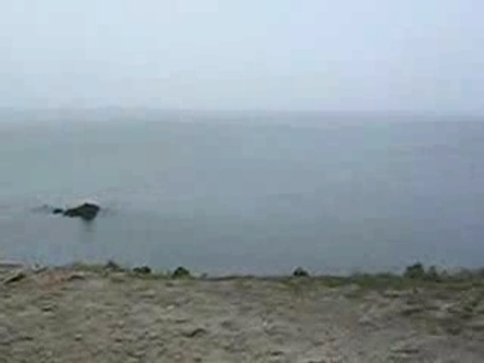 commando