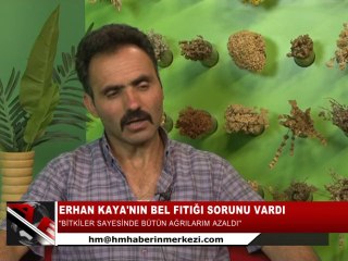 BEL FITIĞI HASTALIĞINDAN NASIL KURTULDU