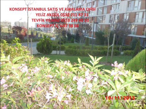 Kiralık Stüdyo Daire Pendik Kurtköy Havuzlu ve Güvenlikli Site İçinde