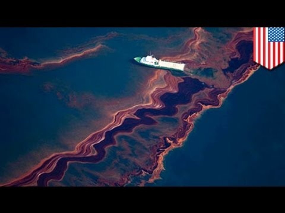 Oil spill closes 65 miles of Mississippi river