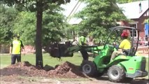Tree Relocation Machine- Awesome