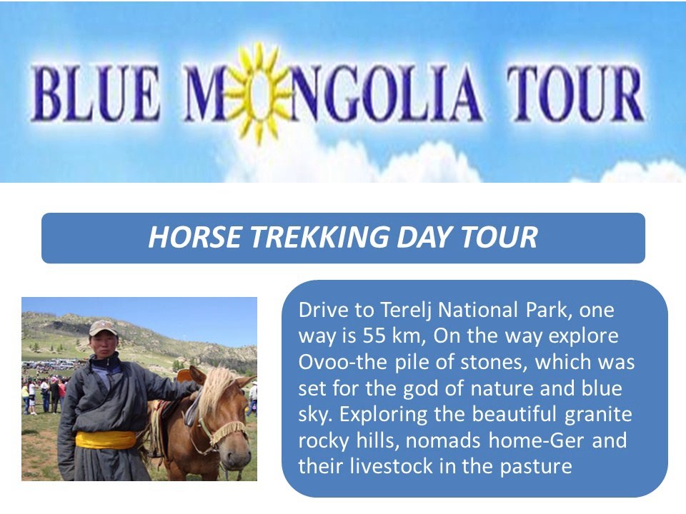 Blue Mongolia Tour & Travel