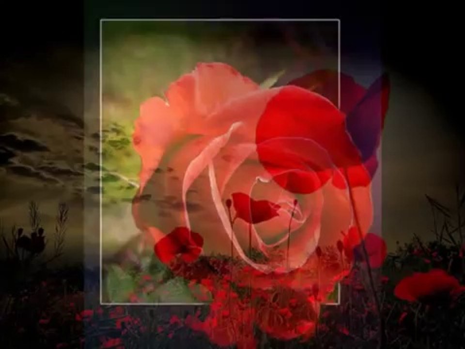 zikr- bismillahirrahmanirrahim zikir