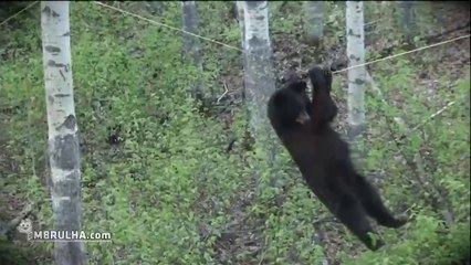 Fails Março 2014 - EMBRULHA.com