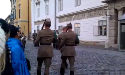 Dog attacks Hungarian Army