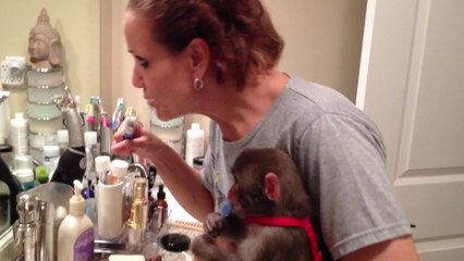 monkey see monkey do