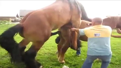 Ще се Спукате от Смях! Компилация 2014