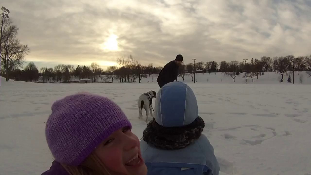 Dog Pulls a Toboggan Full of Kids