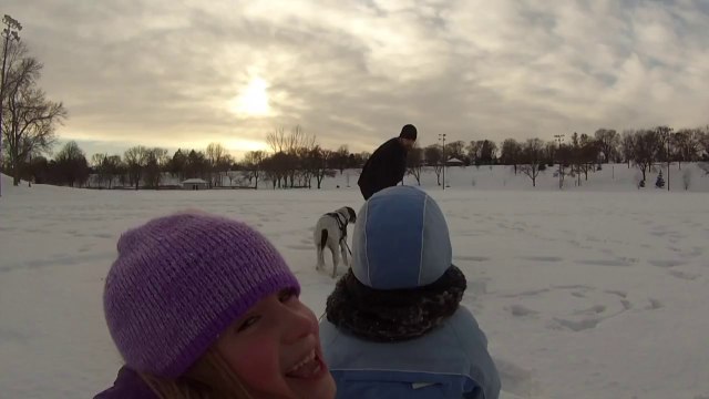 Dog Pulls a Toboggan Full of Kids
