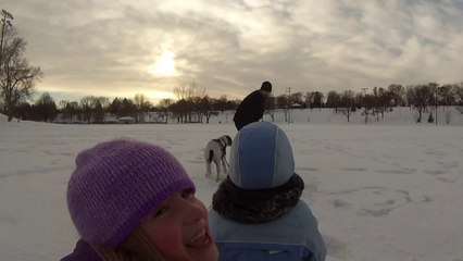 Dog Pulls a Toboggan Full of Kids