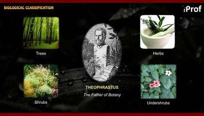 Start Your AIPMT Preparation by Free Online AIPMT Coaching