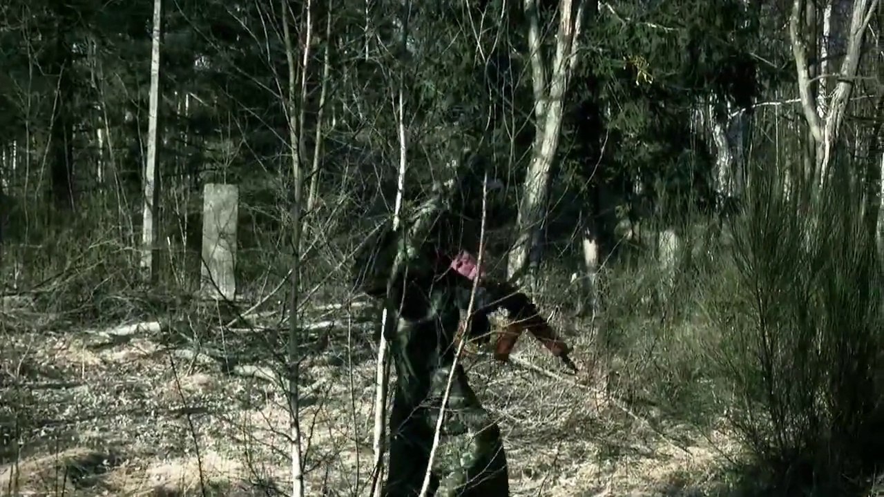 Dekada Stalkerów