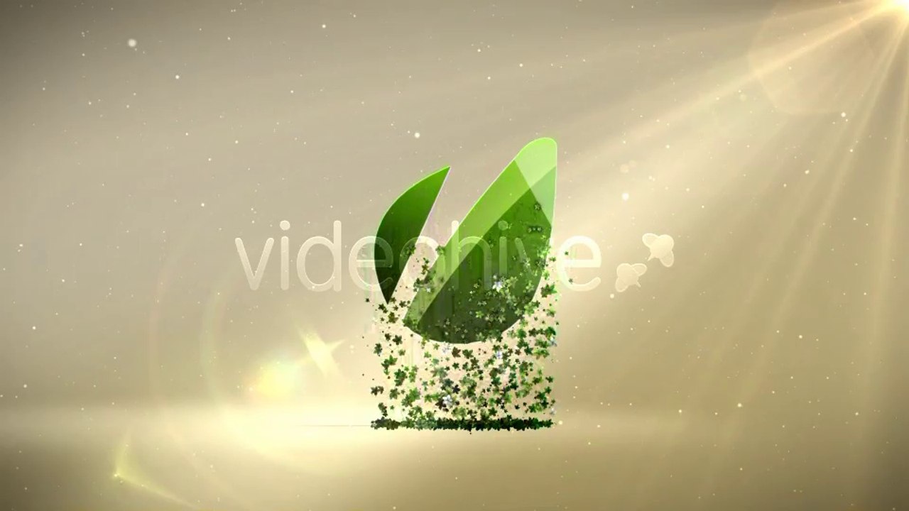 Flower Logo Reveal - After Effects Template