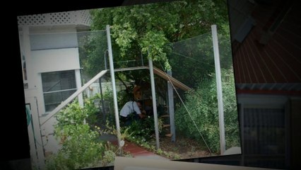 Outdoor Cat Enclosures