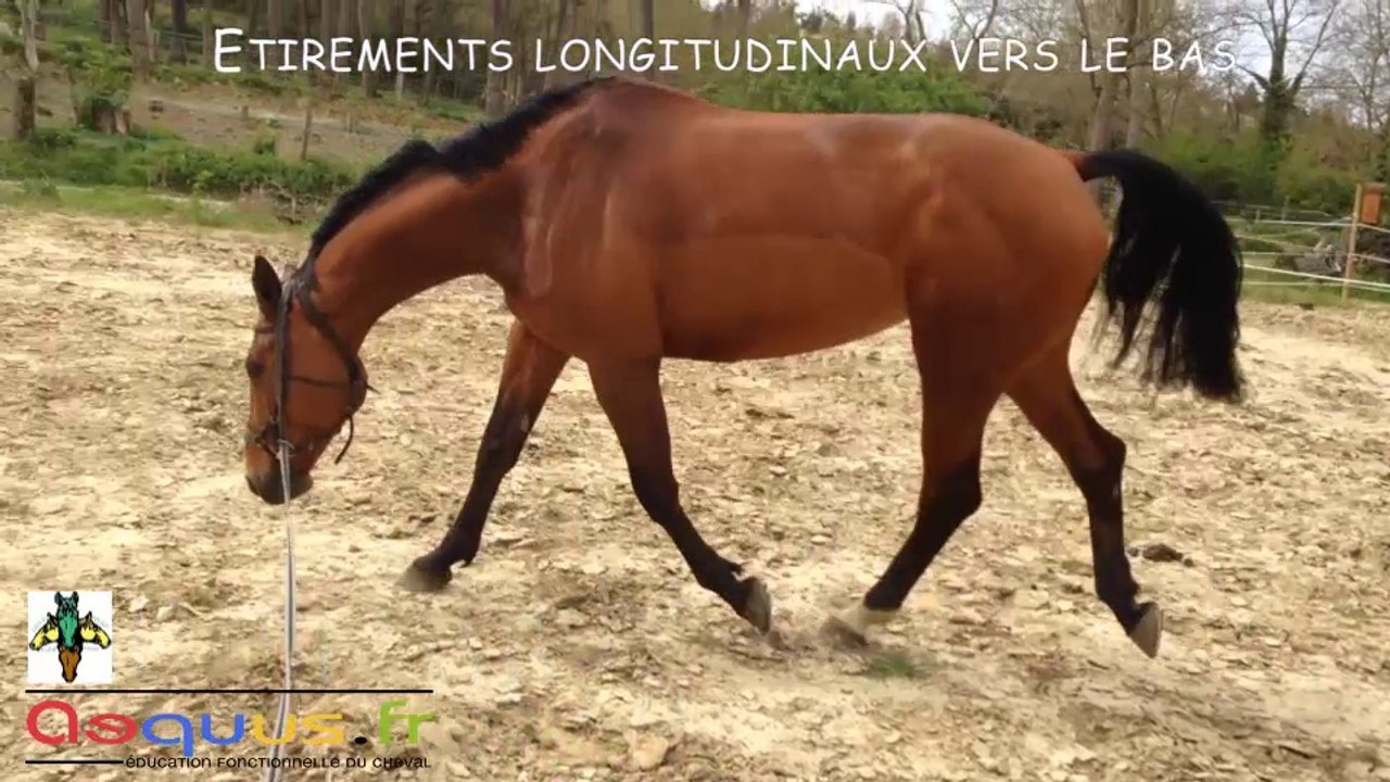 Cession longitudinale vers le bas