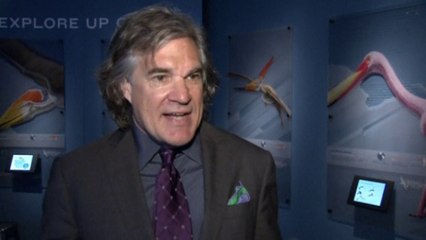 Flying reptiles come to life for museum exhibition