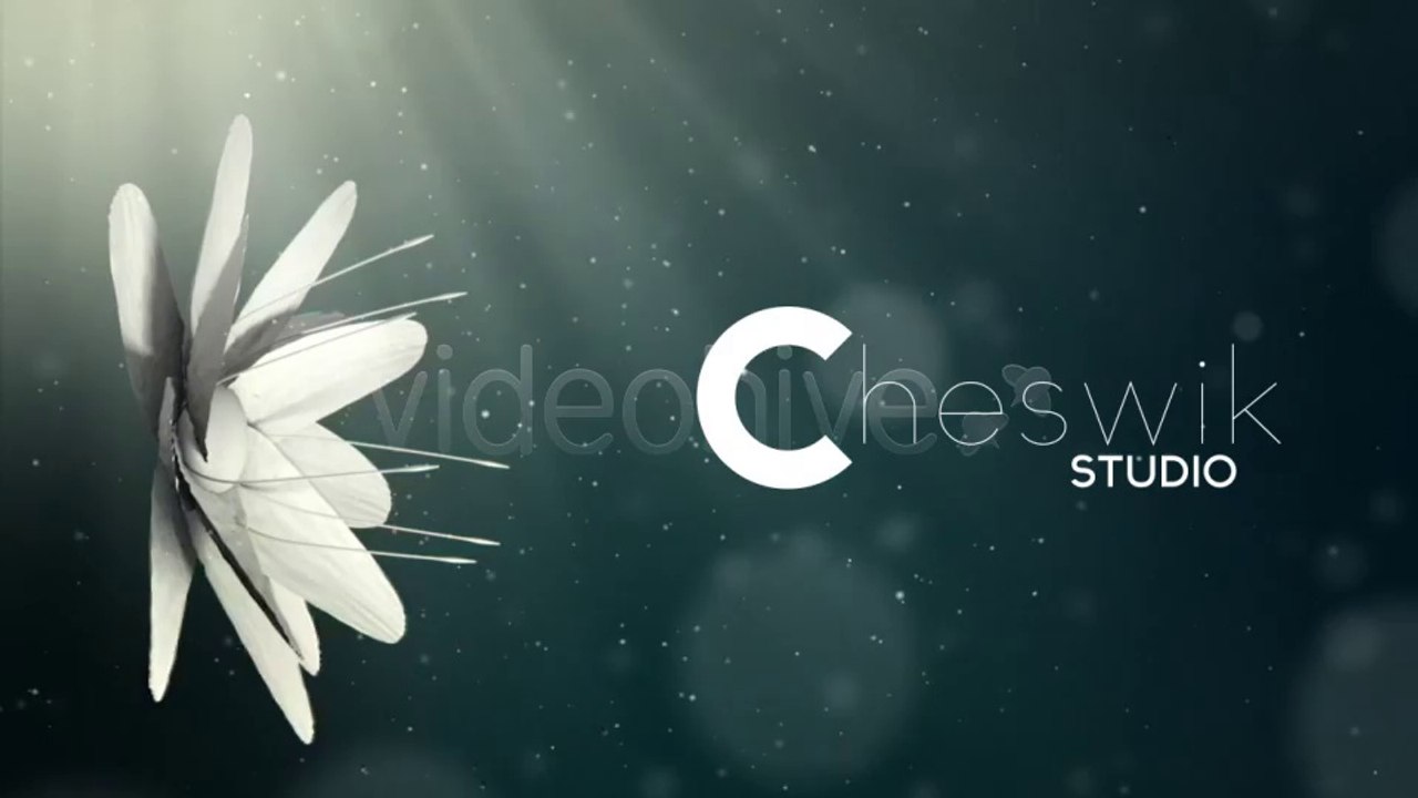 Flower Logo - After Effects Template