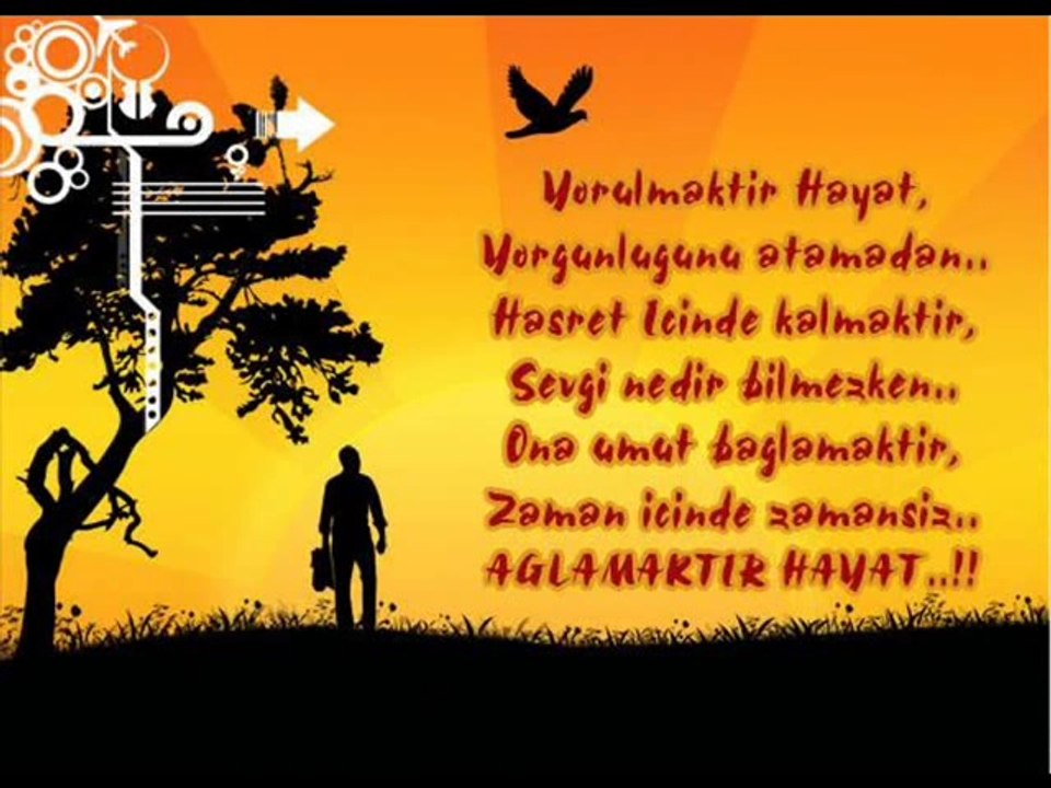 www.seslihis.com //// www.seslihis.com ////  www.seslihis.com// CaNMiSaLi