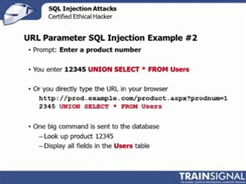 Ethical Hacking - Benefits of SQL Injection Attacks(240p_H.263-MP3)