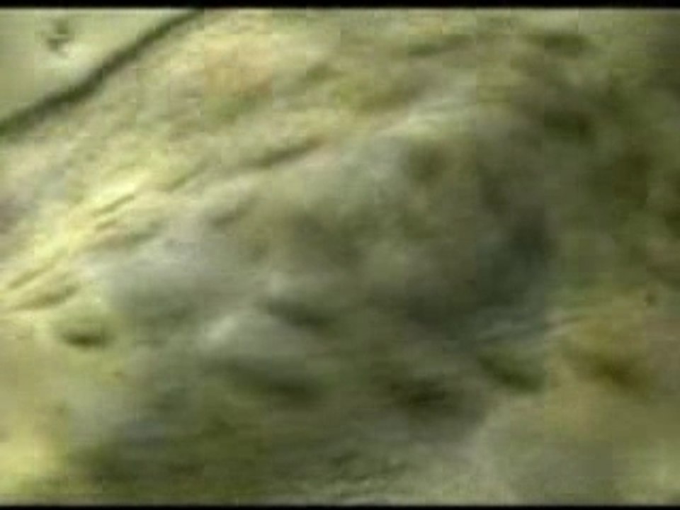 Le truc qui casse tout