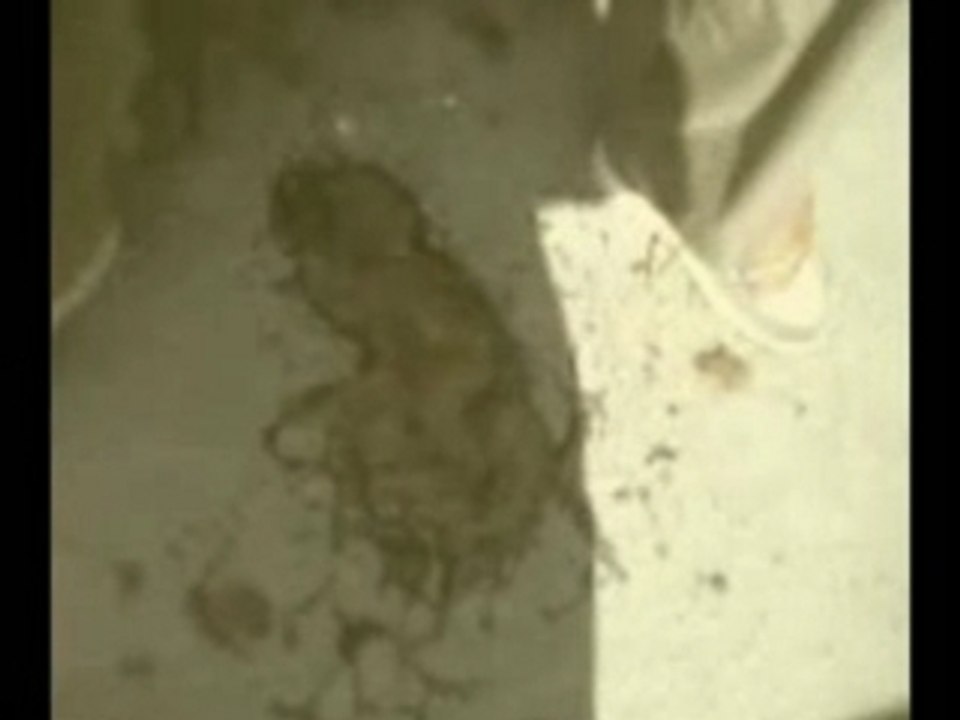 Spoofie video pourri