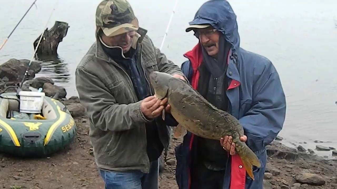 seben, bolu seben, bolu seben taşlıyayla,sazan avı ,balıkavı aynalısazan aynalı