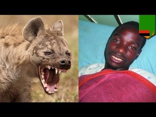 Man lets hyena eat his manhood in order to get rich