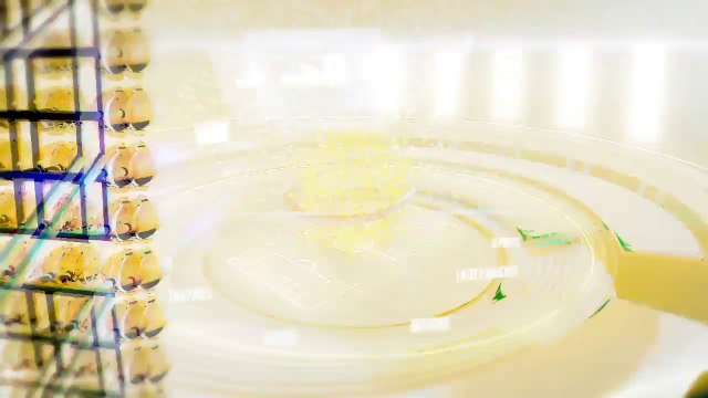 La decisión se tomó en consenso: Palencia