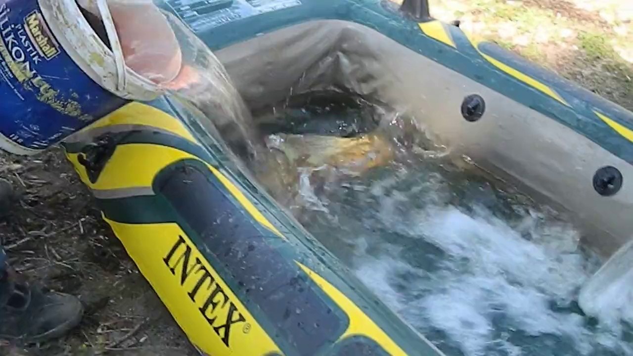 seben, bolu seben, bolu seben taşlıyayla,sazan avı ,balıkavı