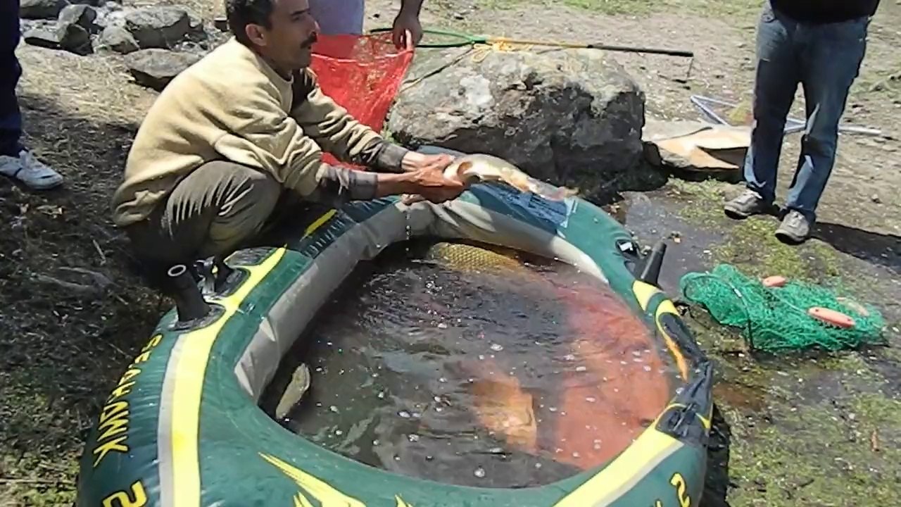 seben, bolu seben, bolu seben taşlıyayla,sazan avı ,balıkavı