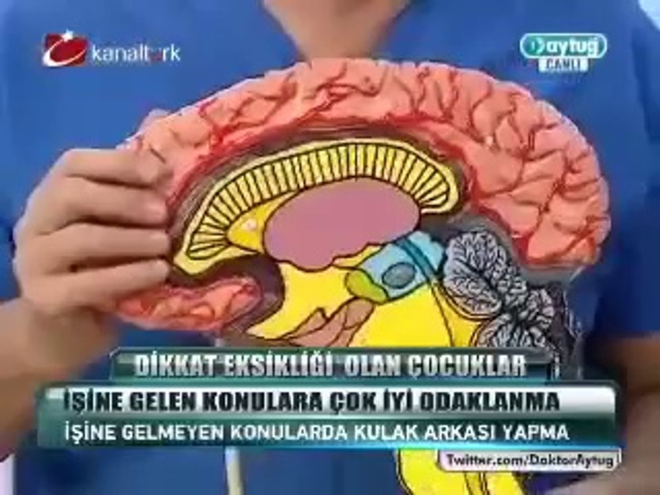 Dikkat eksikliği hiperaktivite bozukluğu büyüklerdeerişkinlerde kendisini nasıl gösterir