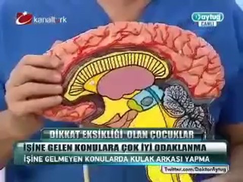 Dikkat eksikliği hiperaktivite bozukluğu büyüklerdeerişkinlerde kendisini nasıl gösterir