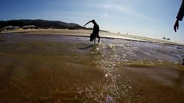Cão de duas pernas Boxer Duncan Lou Who Primeira vez na praia