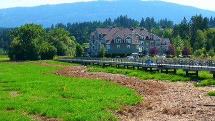 Recreation Area Salmon Arm.